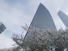 -上海柏悦酒店