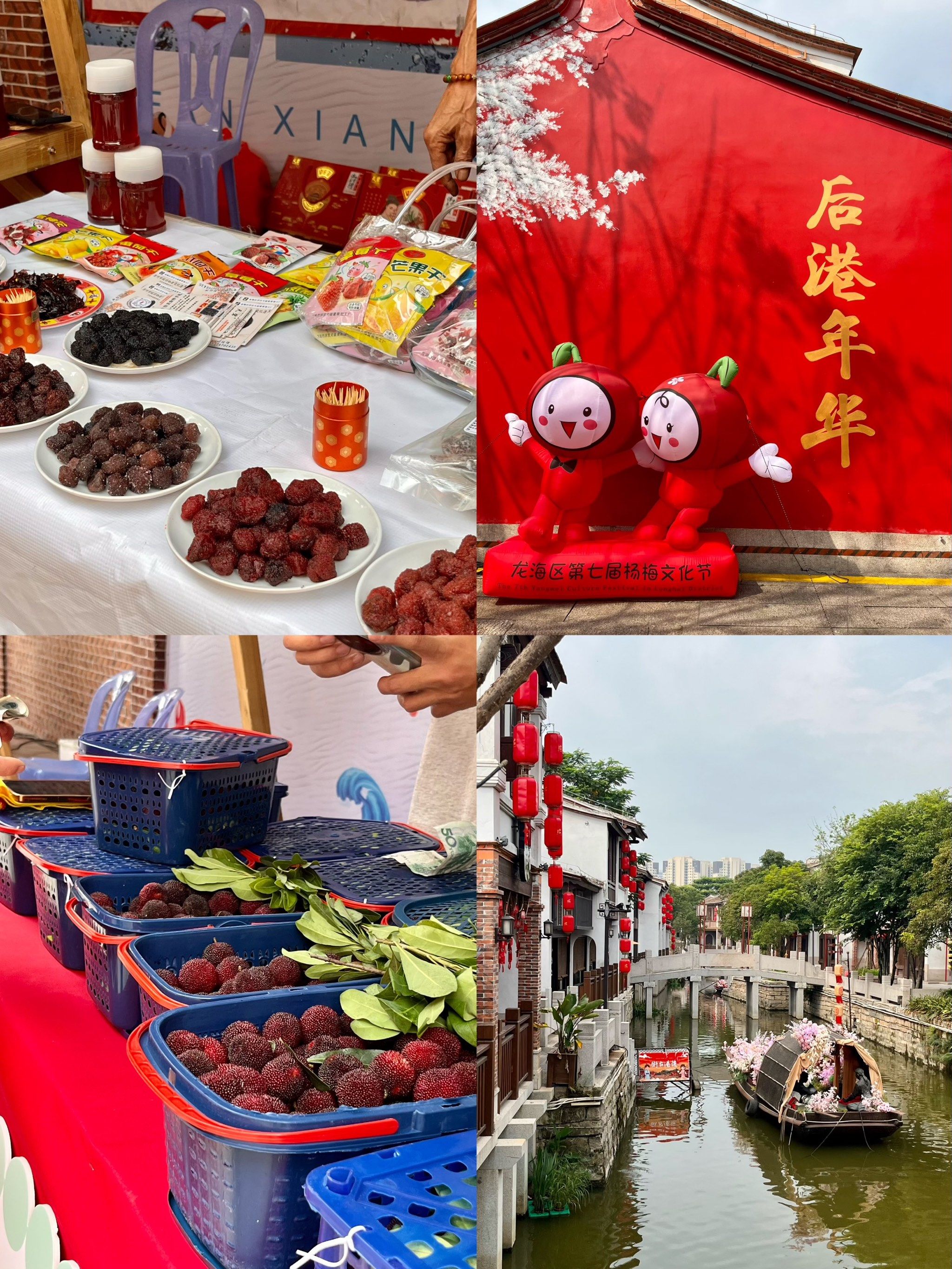 龙海后港杨梅节～吃龙海杨梅啦 一年一度杨梅节