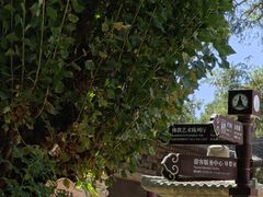 -张掖大佛寺景区