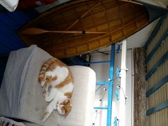 android_upload_pic-Sirena海妖日咖夜酒