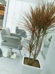 -P.STYLE派斯造型