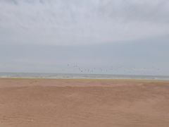 -青岛海泉湾皇冠假日度假酒店