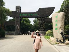 -溱湖国家湿地公园