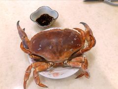 面包蟹-盒马鲜生(莱蒙都会店)