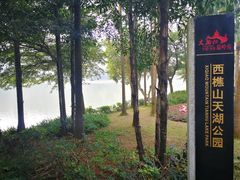 景点-西樵山风景名胜区-天湖公园