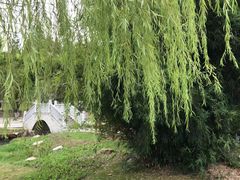 -东湖落雁景区