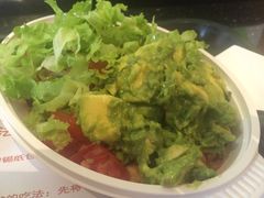 -油梨树AVOCADO TREE(顺义新国展店)