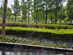 -上海虹桥西郊假日酒店