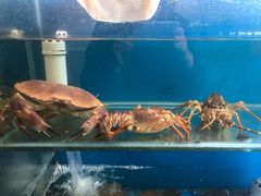 水产区-常兴记广东小厨(浦东路店)