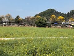 -红山村