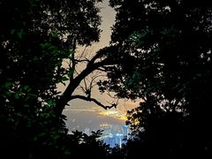 -梧桐山风景名胜区