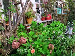 -荒度咖啡(北九水店)