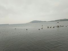 -海驴岛(荣成市)