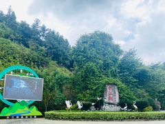 -广州白江湖森林公园