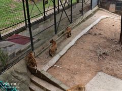 -深圳野生动物园