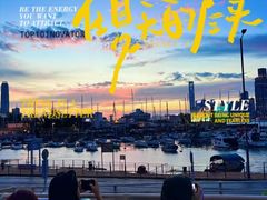 -Big Bus Tours 敞篷观光巴士
