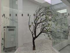 -极简口腔(总院)