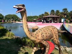 -苏州太湖西山岛开心农场