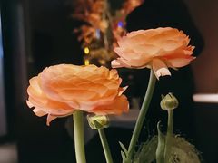 -沿途四季·云南菜·诗酒茶(蓝色港湾店)