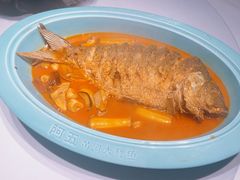 红烧黄河鲤鱼-阿五黄河大鲤鱼(英协路店)