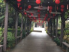 -白马涧龙池景区