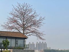 -喜洲吧·江畔老船厂·庭院餐厅(喜临院店)