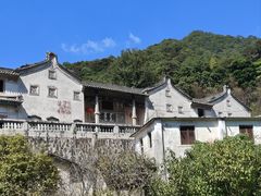 -雁南飞茶田景区