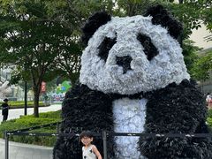 -东莞松山湖万象汇