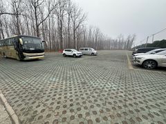 -渌洋湖湿地公园