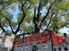 -大槐树寻根祭祖园