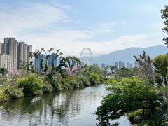 -金鸡山公园