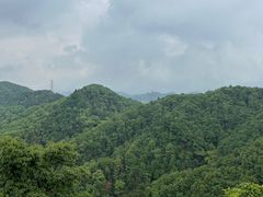 -南山植物园