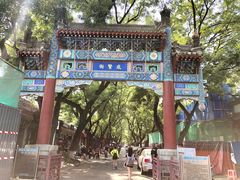 -北京国子监胡同