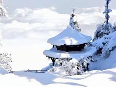 -瓦屋山景区