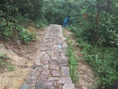 -四明山国家森林公园