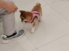 -怪兽屋·羊驼·猫咖·狗咖(俊华广场店)