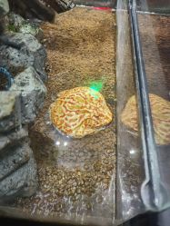 -未来动物城动物主题公园(大悦城店)
