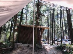 -重庆睡佛山森林公园