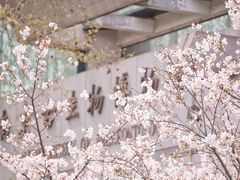 -鸡鸣寺