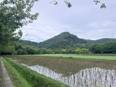 -八卦田遗址公园