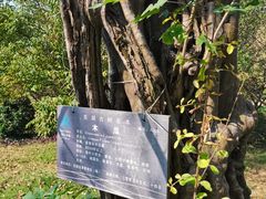 -东湖落雁景区