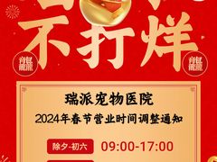 -东莞宠友24H宠物中心医院·转诊夜诊·异宠(新河北路院)