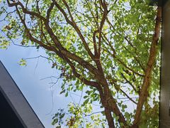 -解家河南菜(金水路店)