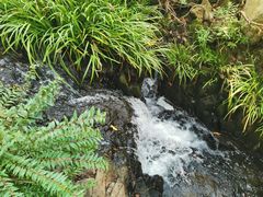 -武汉姚家山旅游景区