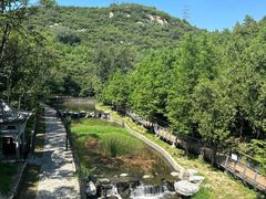 -白水寺森林公园