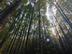 -山王坪喀斯特国家生态公园
