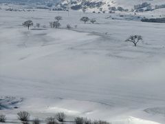 -塞罕坝国家级自然保护区