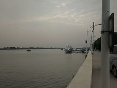 -大湾区中央湿地公园-十九涌