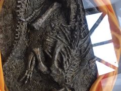 -诸城市恐龙博物馆