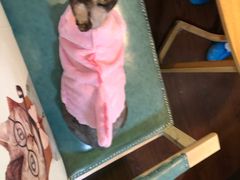 -李小姐の猫咖啡馆(五角场店)